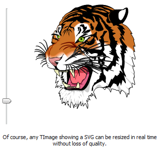 tiger large
